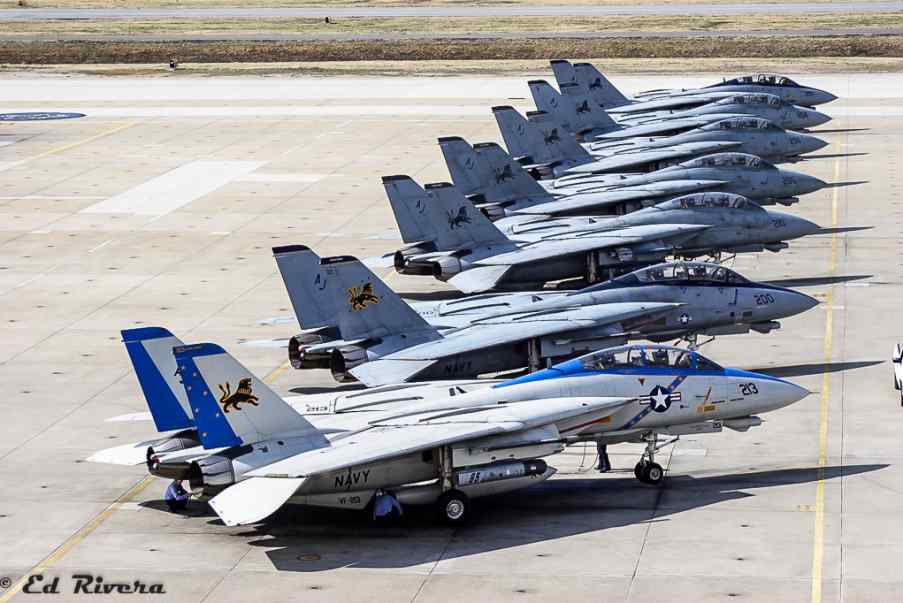 The Grumman F 14 Tomcat Warrior Of The Cold War