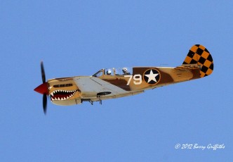 Curtiss P-40 Warhawk Heritage Flight Conference @ Davis-Monthan AFB (KDMA), AZ