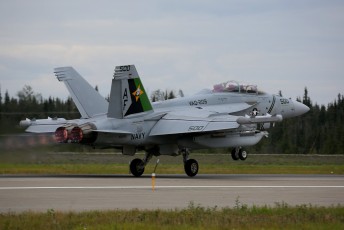 This Boeing EA-18G Growler, launching on a Blue Air mission from  Eielson AFB, is the Color Bird of US Navy VAQ-209 "Star Warriors" squadron.