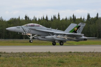 This Boeing EA-18G Growler, recovering at Eielson AFB, is the Color Bird of US Navy VAQ-209 "Star Warriors" squadron, was on a Blue Air mission.