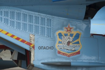 Sukhoi Su-27 detail