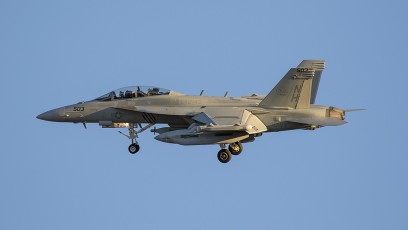 EA-18G Growler of the VAQ-142 Gray Wolves from Whidbey Island, WA landing at NAS Fallon in setting sun.