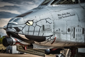 Nose art of a Fairchild Rebublic A-10C "Warthog" participating in Hawgsmoke 2014. 80-0244163d Fighter Squadron (163d FS) "Blacksnakes"Indiana ANGDavis-Monthan AFB, AZ USA