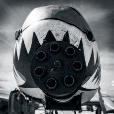 The barrel of the GAU-8 Avenger