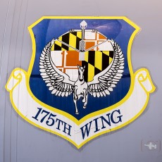 Maryland Air National Guard 175th WG Insignia