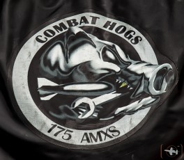 Combat Hogs - 175th Aircraft Maintenance Squadron, A-10C Engine intake cover.
