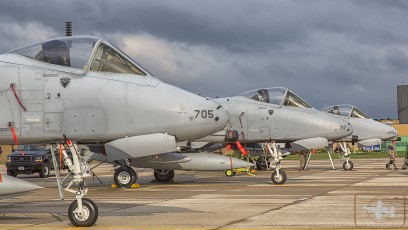 Thunderbolts ready to bring the bring fire and rain from their GAU-8 Avengers and multiple hardpoints.  175th WG, 104th FS Maryland Air National Guard.
