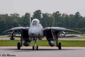 The ominous Tomcat stare - The VF-31 "Tomcatters" CAG taxiing back after performing for the crowd. NAS Oceana 9-10-2006