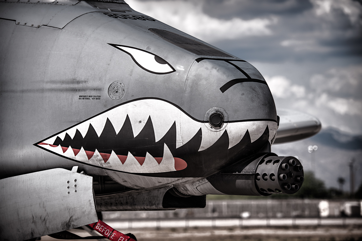 Distinctive nose art on this A-10 emphasizes the barrel of the GAU-8 Avenger