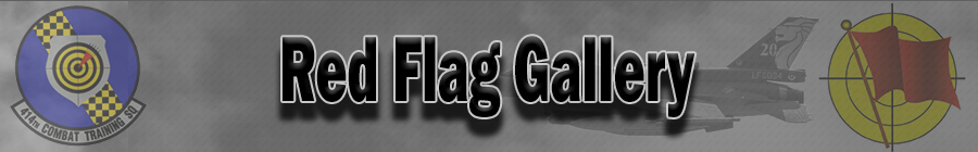 RED FLAG gallery Banner