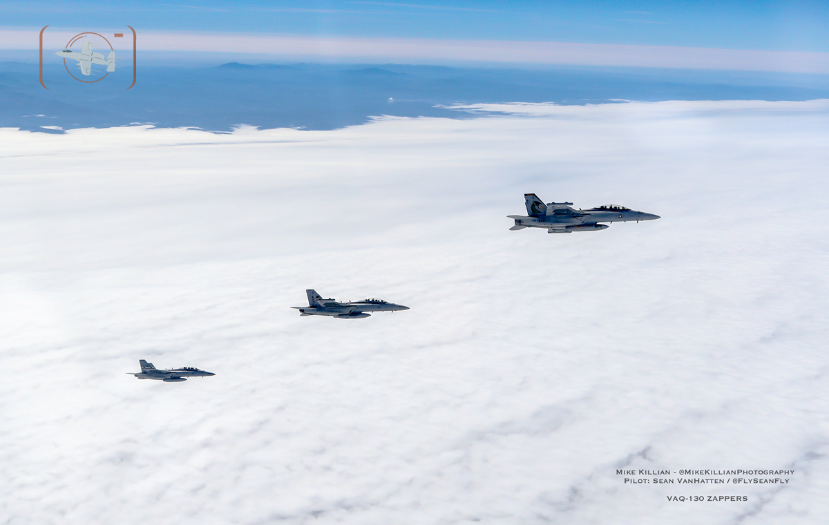 VAQ-130 Zappers Total Eclipse EA-18G Growler