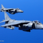 Harrier – a Living Legacy