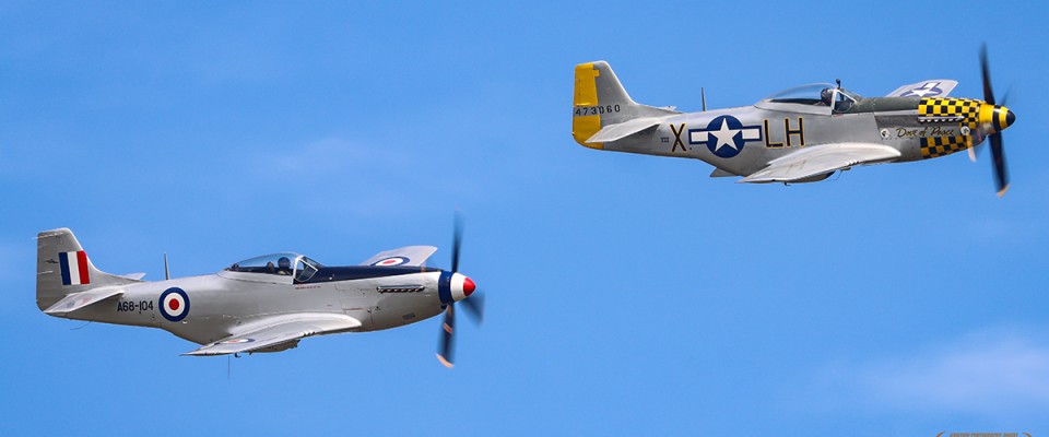 #8c446fc760960265adb9441ae0ff18501